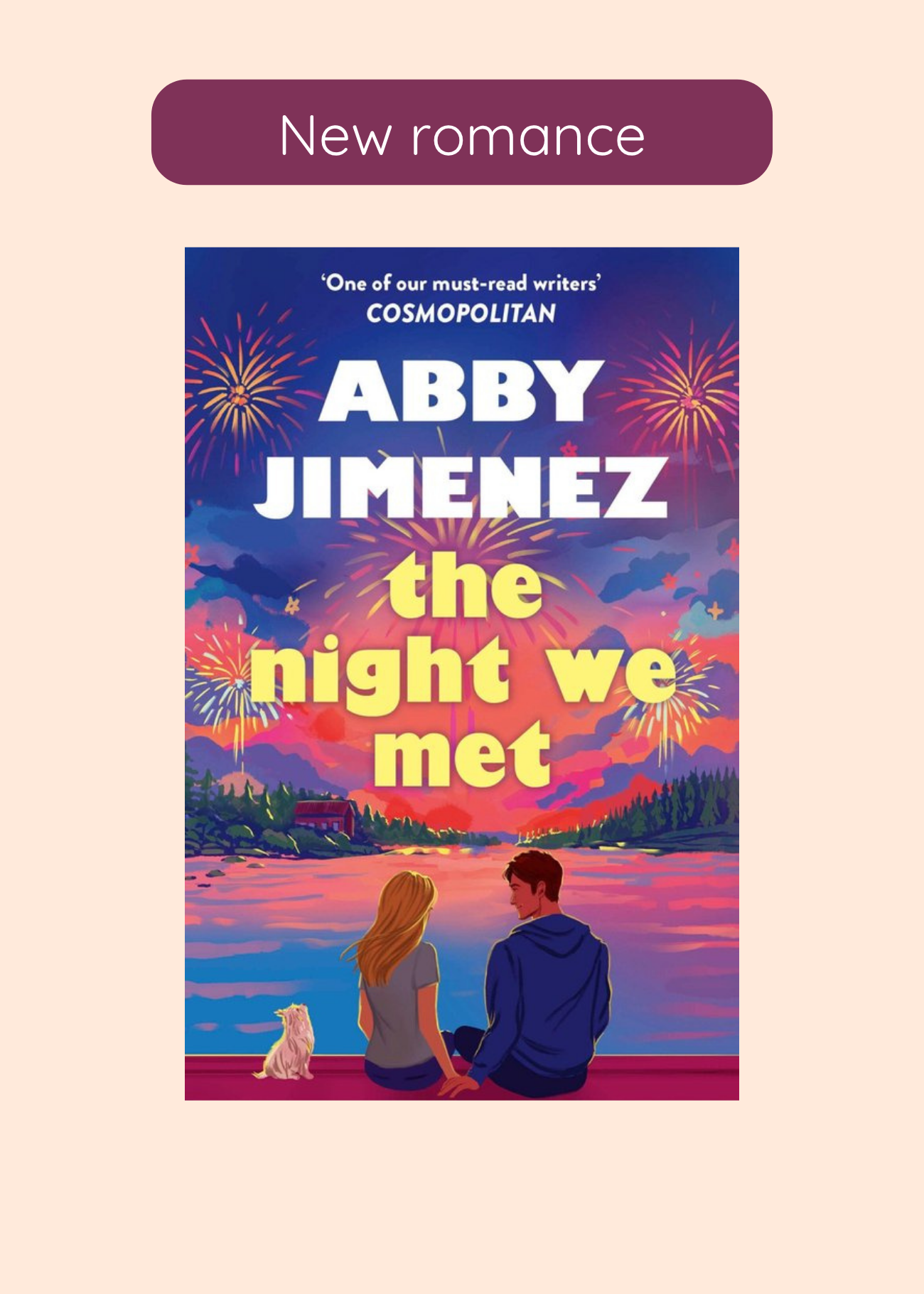 The Night We Met