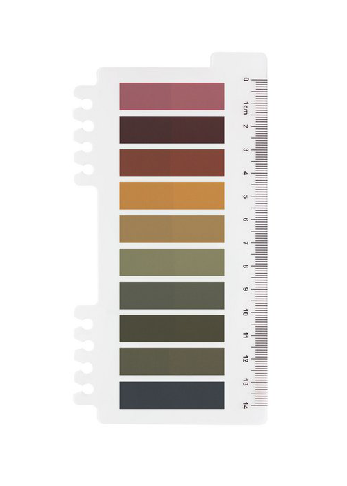 Sticky booktabs mystic autumn