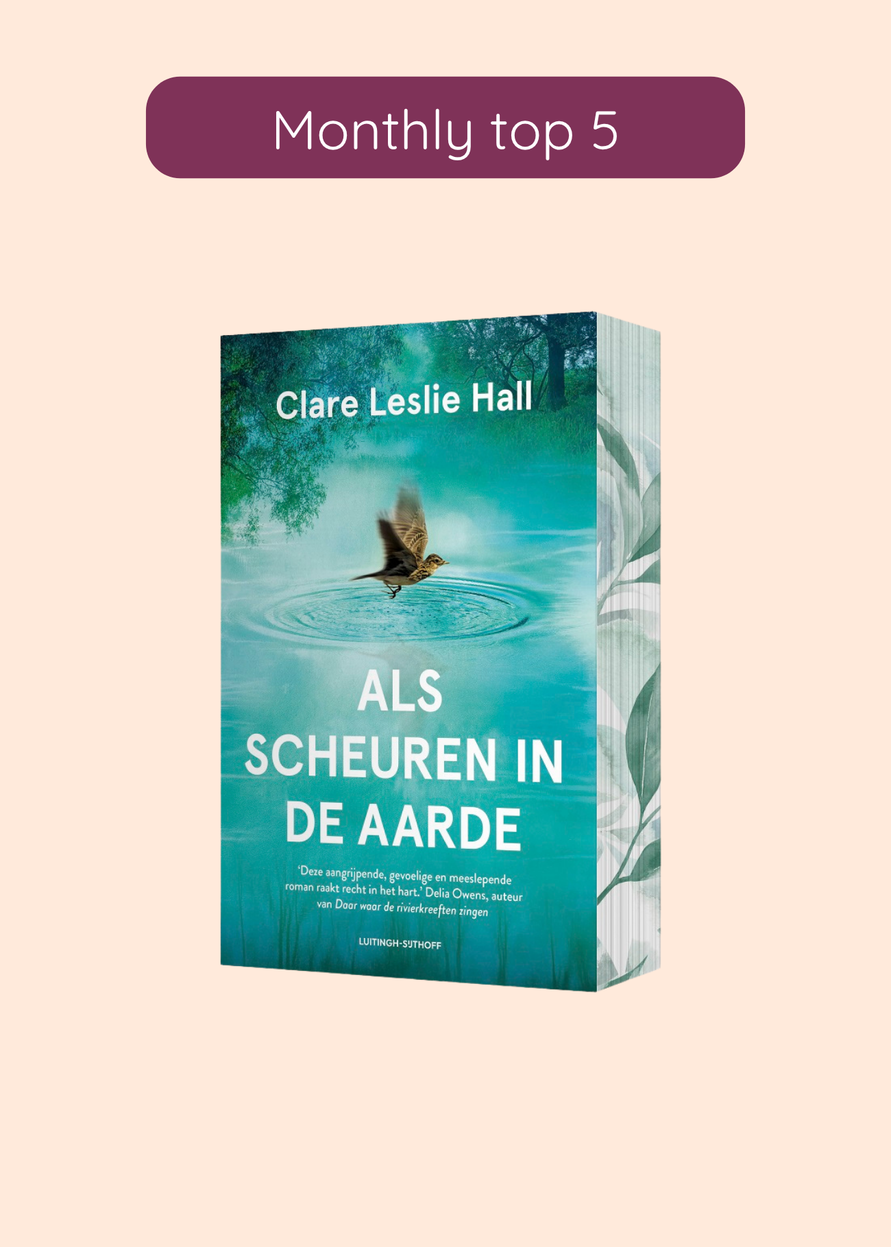 Als scheuren in de aarde