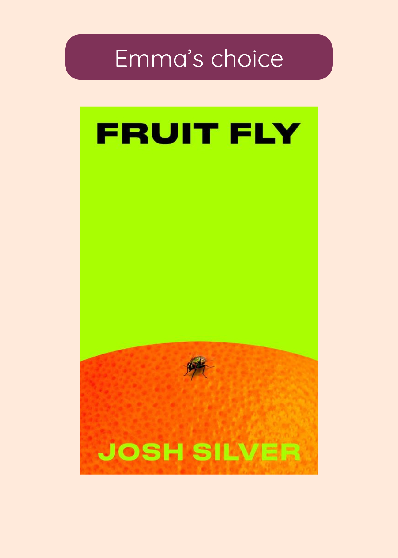 Fruit Fly