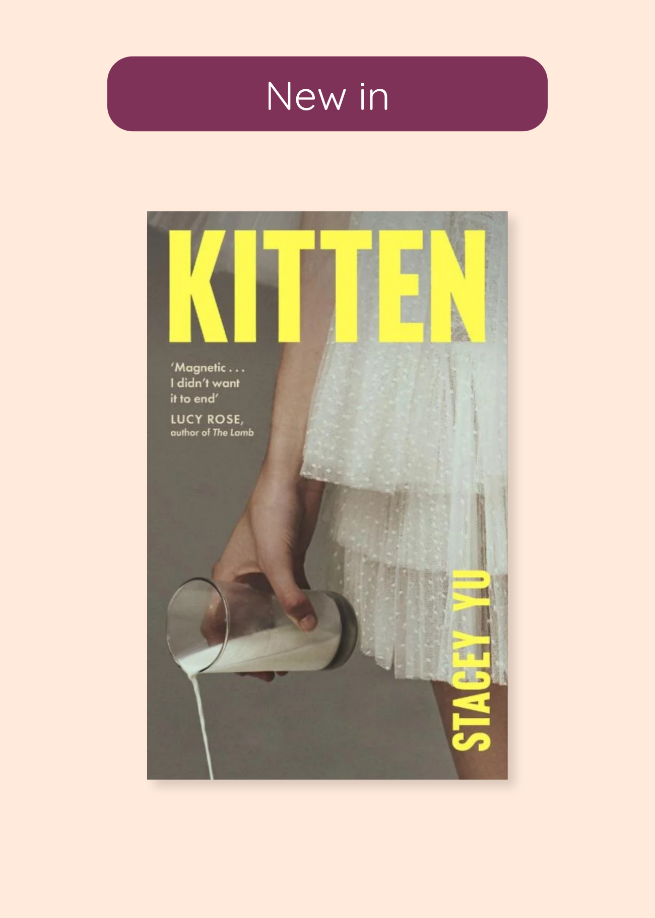 Kitten